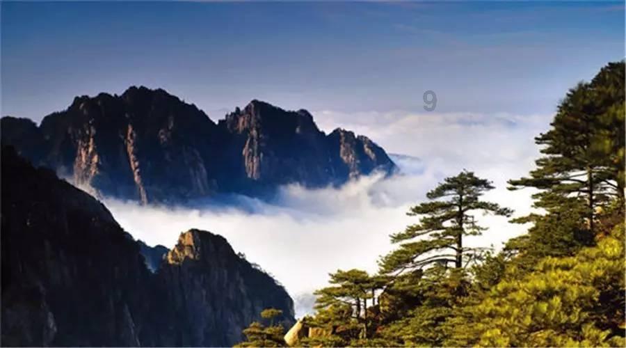 阴阳师