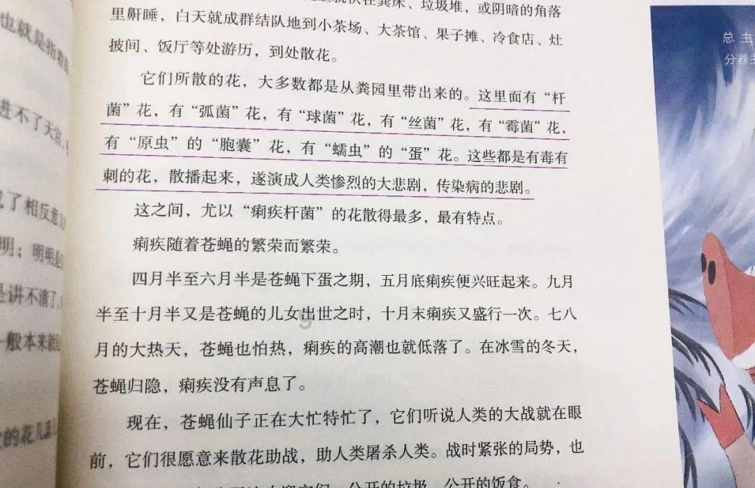 海盗的荣誉