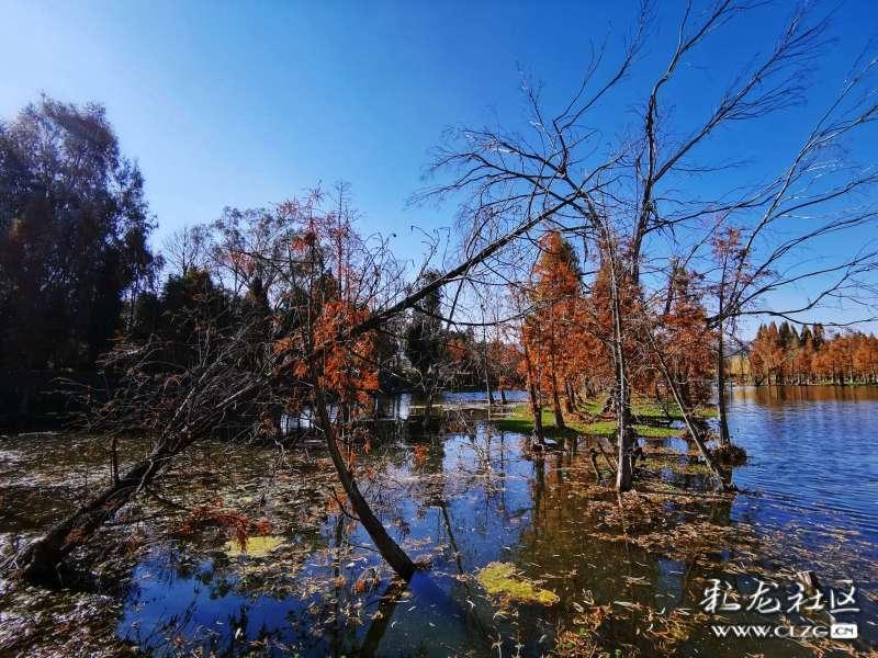 《中国儿童海洋百科全书》在京发布