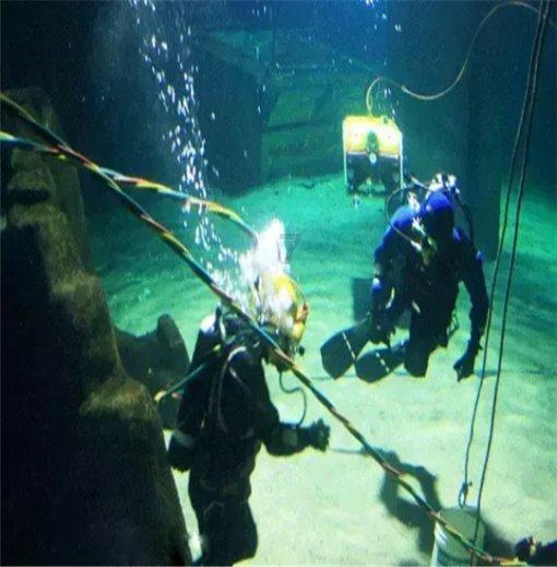 加快赋能供应商数字化智能化升级，SHEIN持续构建品牌生态出海