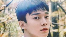 拯救吉他手男孩