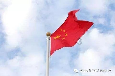 小猫钓鱼正版下载中文版