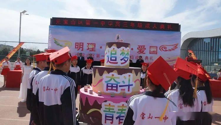 救援淘气的小狗