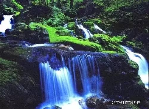 精灵的冒险之旅