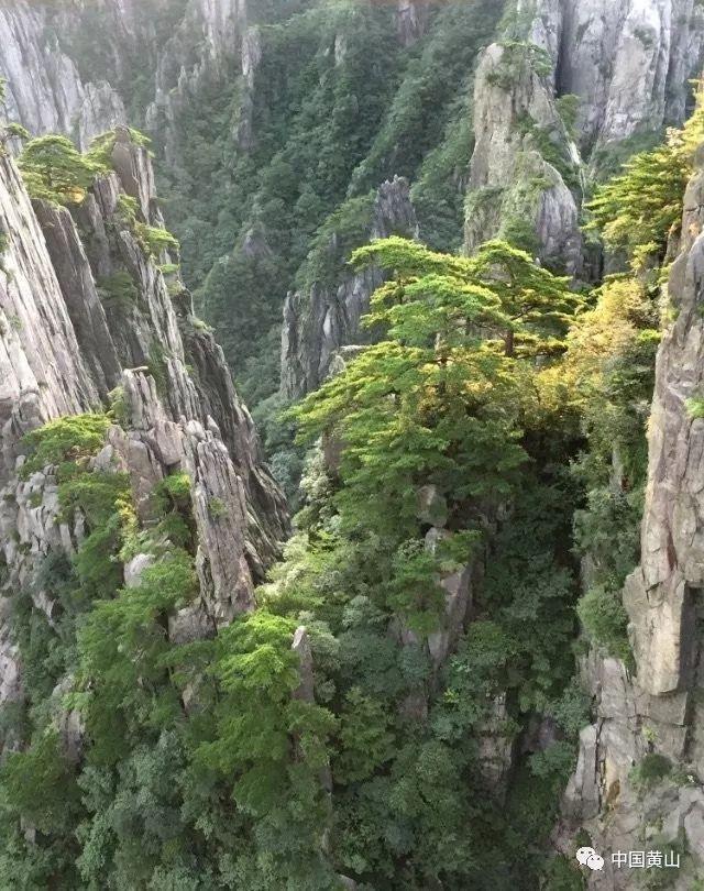行尸走肉：第二季