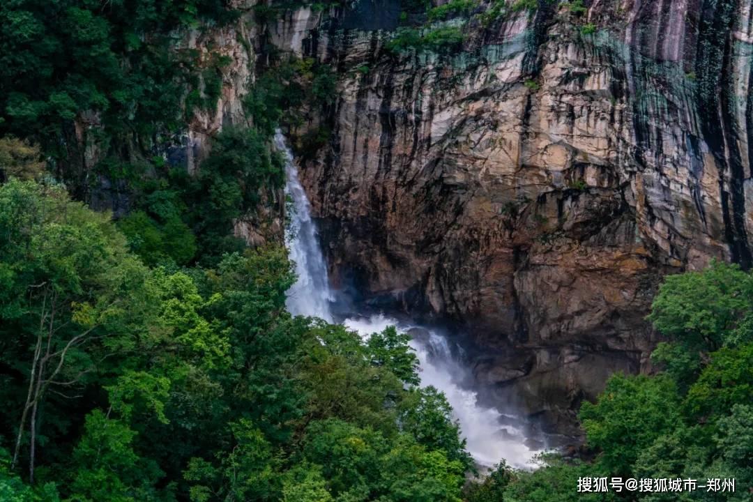 植物大战僵尸19
