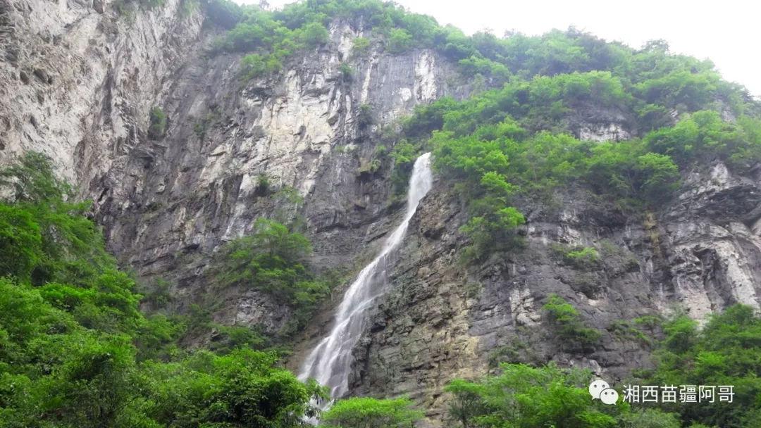 刺客信条：大革命