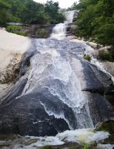 虫虫助手下载